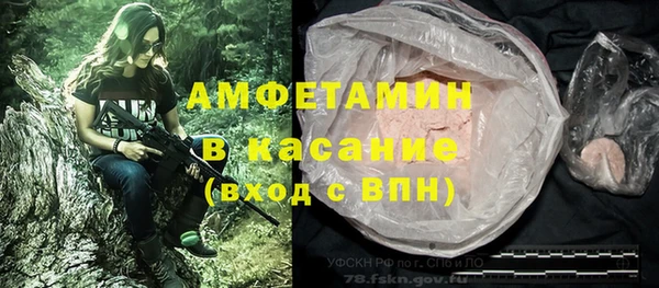 крисы Аркадак