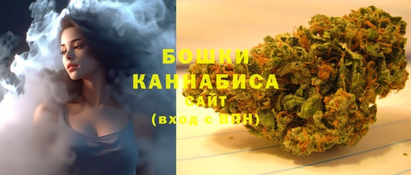 крисы Аркадак