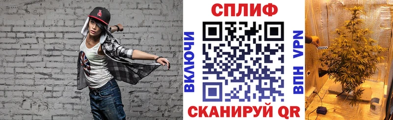 Марихуана Amnesia  Купить где  Сланцы 